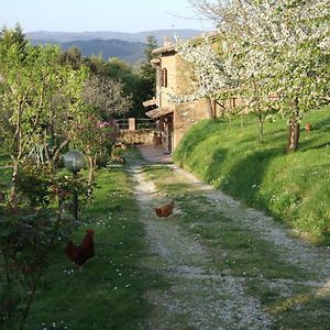 Podere La Vigna Locazione Turistica